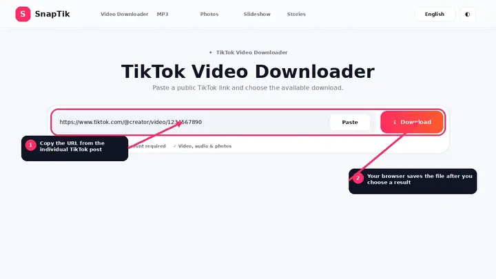 SnapTik desktop downloader with the main URL field highlighted